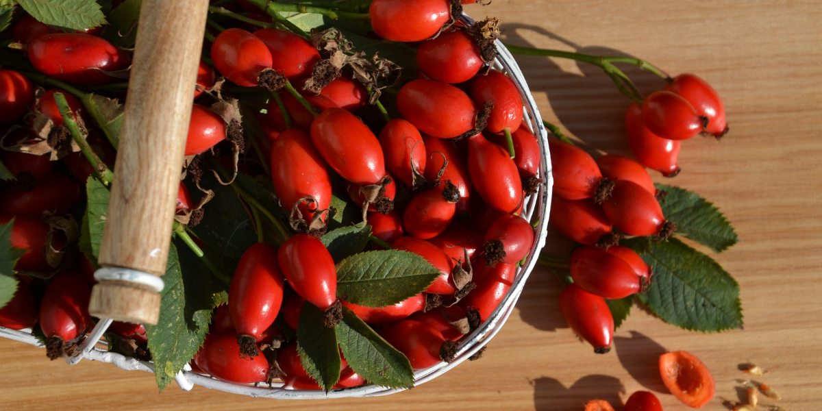 Rosehips
